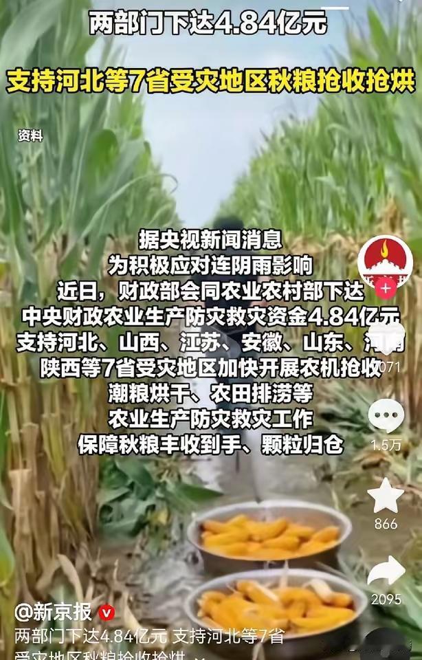 陕西、河南、山西等7省连降多日的雨，秋收时节，农田进水严重，农民抢收农作物，粮食