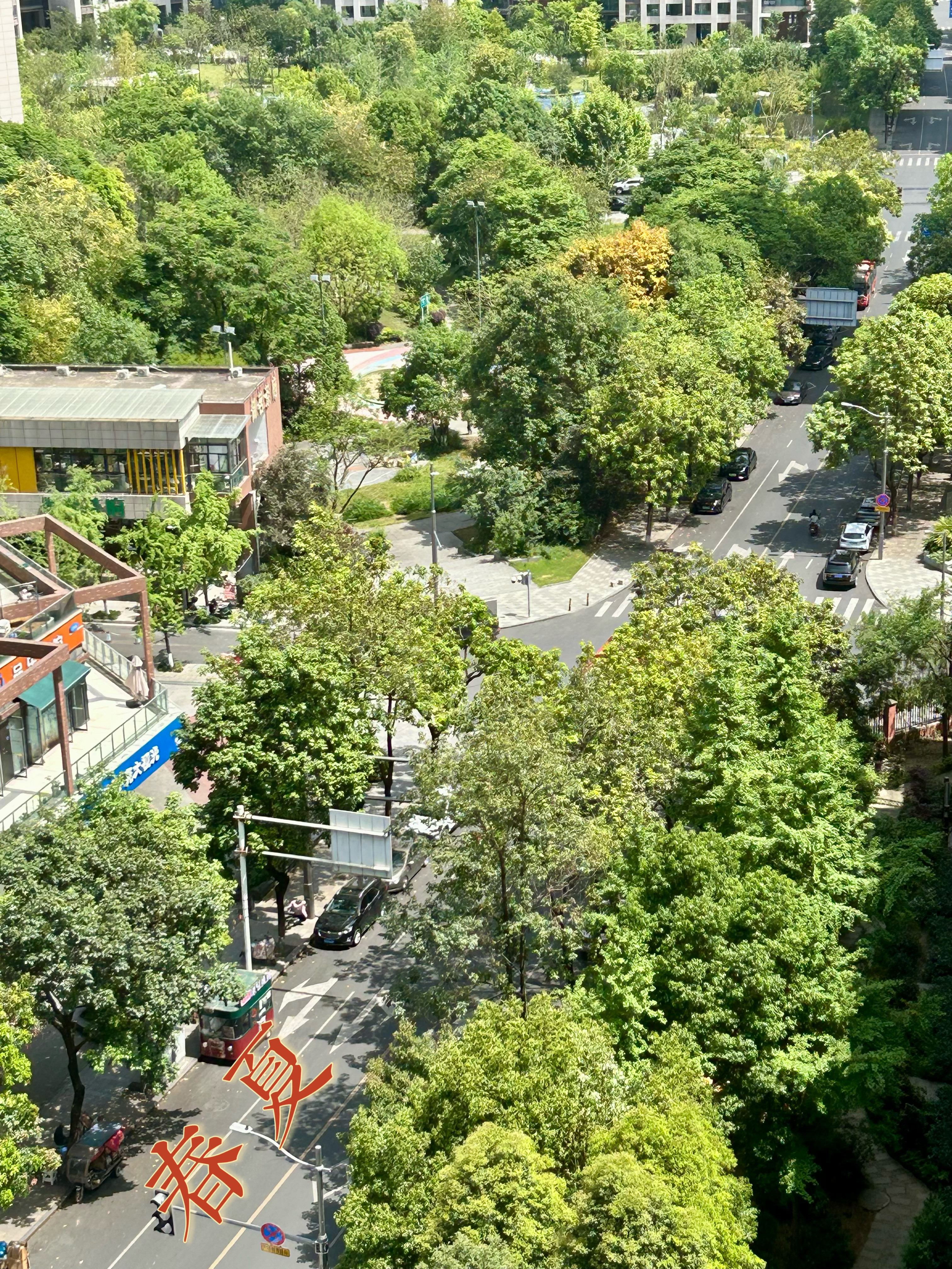 刚才出门买喝的，看外面太阳很大就打了一把伞，出去才发现别人都穿的短袖，就我还穿了