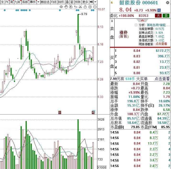 深度复盘：3个低价电力股，值得关注 1.韶能股份　　8.04元水电+算