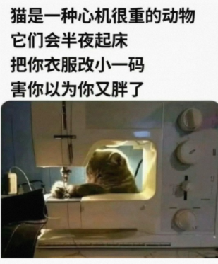 就想整蛊朋友