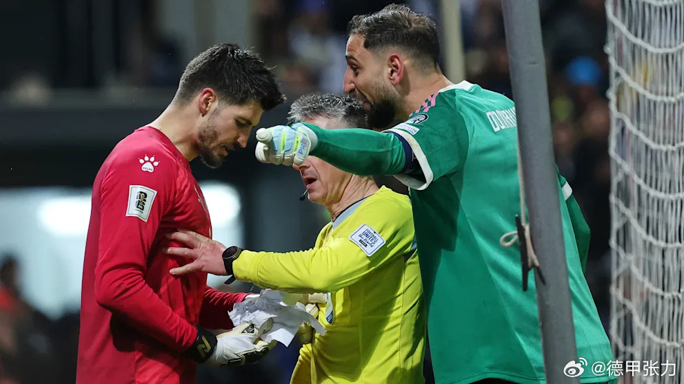 意大利点球大战第一位出场的埃斯波西托将球射失，波黑门将瓦西利正在庆祝，多纳鲁马冲