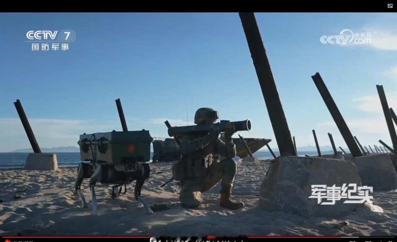 机器狗给抢滩登陆的战士送弹药，能带两发80毫米一次性火箭筒或者一盒弹匣。如果用履