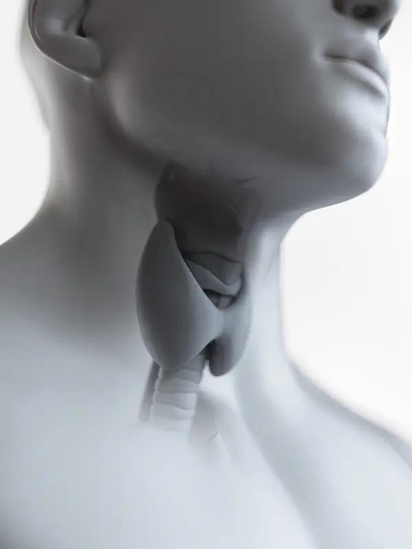 很多人拿着体检单，明明有问题医生却只说“定期复查”，这背后是有原因的。就拿胸部