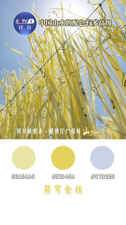 中国山水高级感配色被自然配色戳中心巴！屋瓦黛黑、炊烟暖棕、湖面粼蓝，每一抹色调都