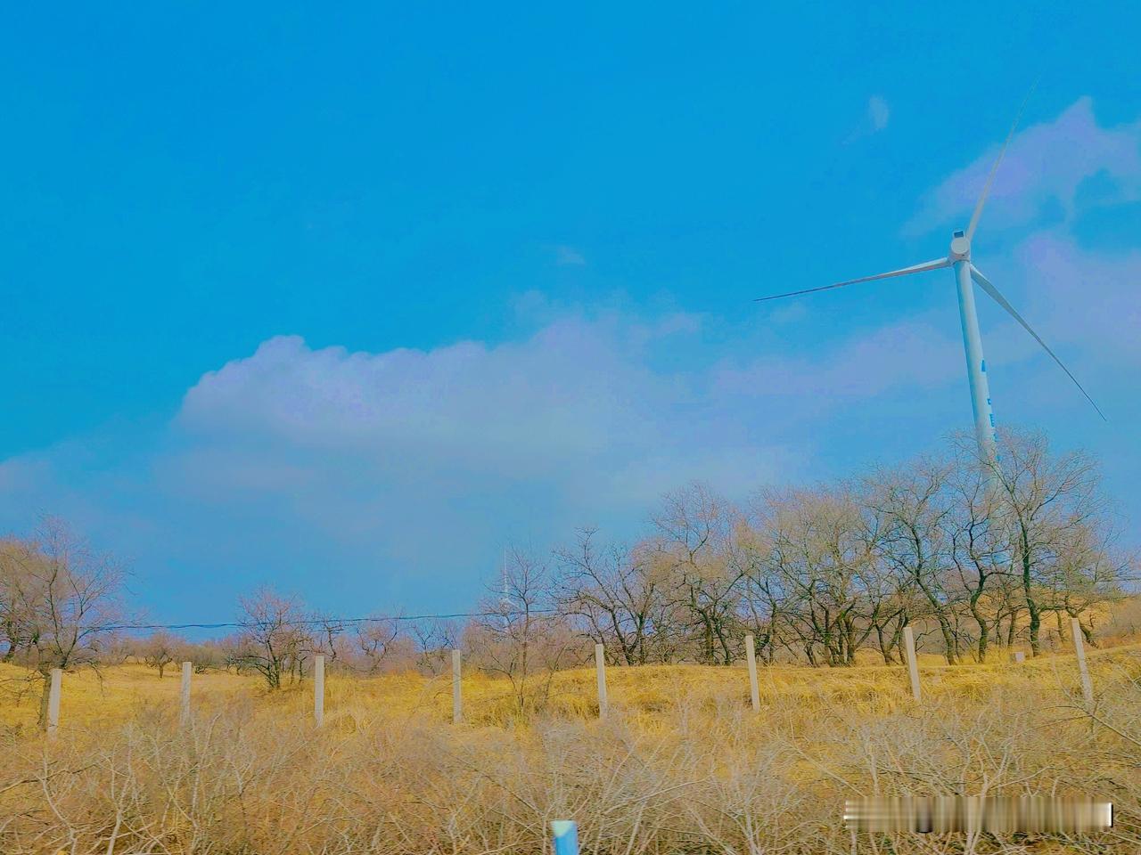 人这一生，求情暖人间，家人常伴安康。求心有归处，遇事从容，见山开阔，见水欢喜。