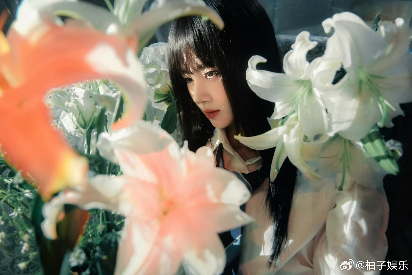 植物少女鞠婧祎，谁来懂一下这套图的含金量​​​