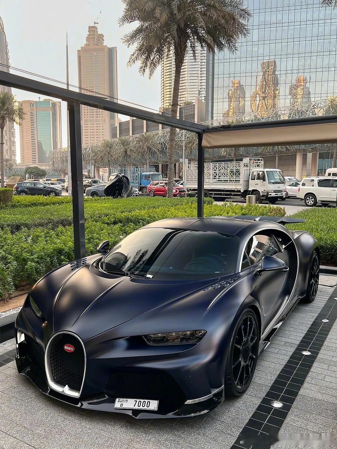 我那在迪拜街头随处可见的白月光啊