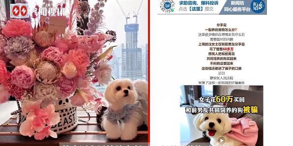 “太缺德了！”2025年7月，上海，一女子和前男友分手后，花了整整60万元，要将