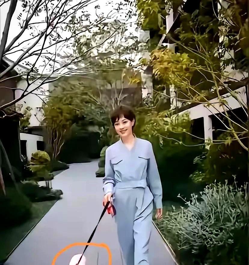 我现在开始有点懂邓超了，孙俪哪里都好，但是有一点是要不得的，那就是孙俪太自律了。