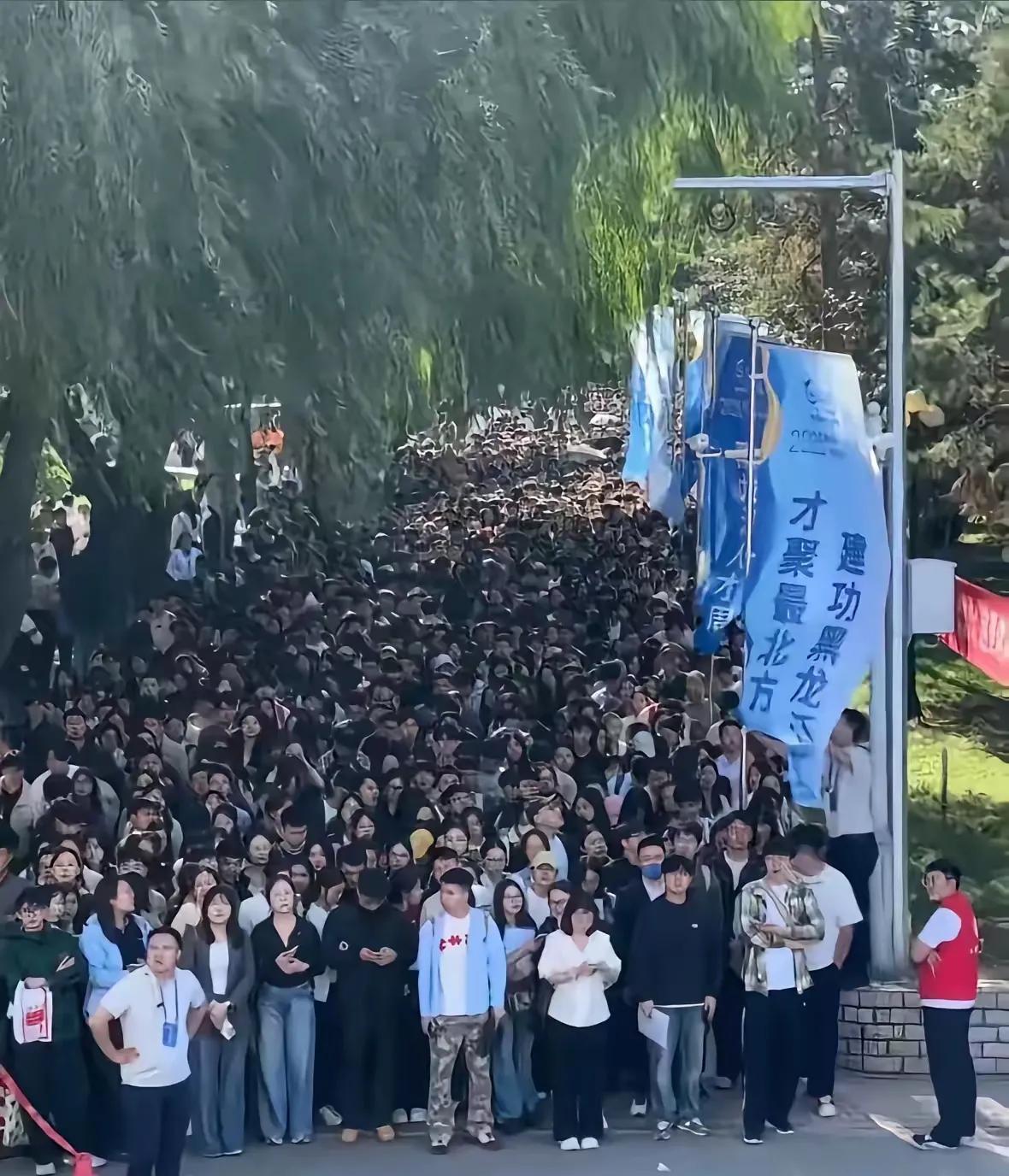 都说学历是找工作的敲门砖，但是现在遍地都是高学历，拼到最后，也就是拼爹妈900