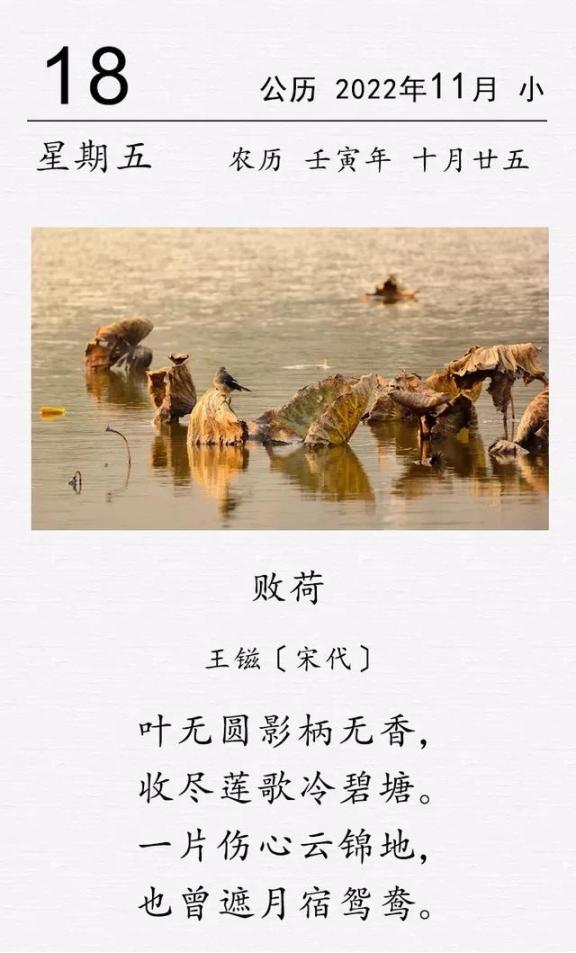 这是宋代诗人王镃的一首咏枯荷诗。在秋末的荷塘边，一片残败景象下隐藏着怎样的生