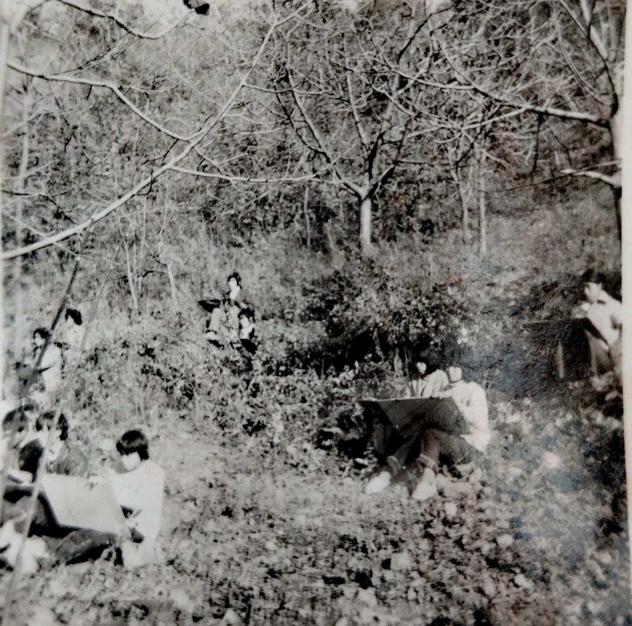 分享一张你高中时代最难忘的照片吧1983年汝阳三屯职业高中美术班
