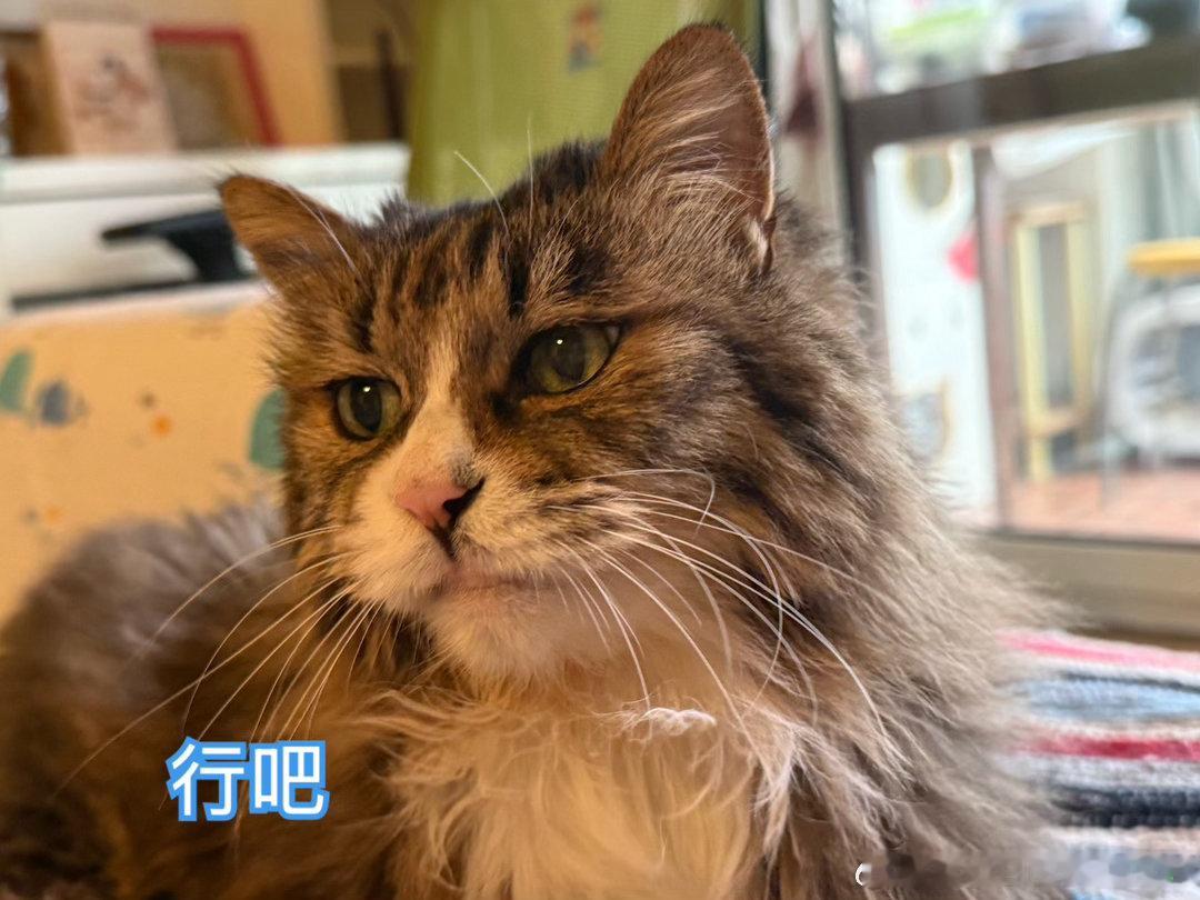我们小区开始换电梯了，刚才下楼扔了垃圾，把车开出去溜溜。回来一看，我的车位被占了