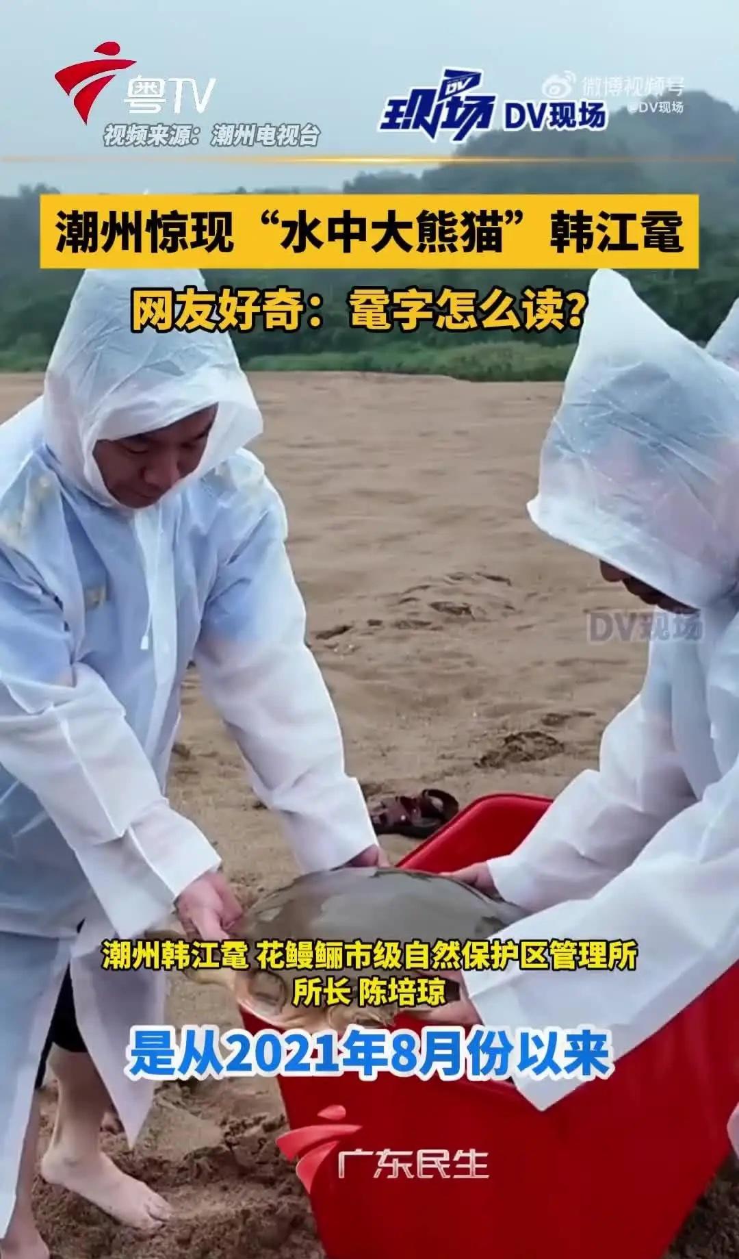 这次潮州渔民做对了。广东潮州一位渔民在韩江捕鱼时，网到一只罕见生物。它外形像