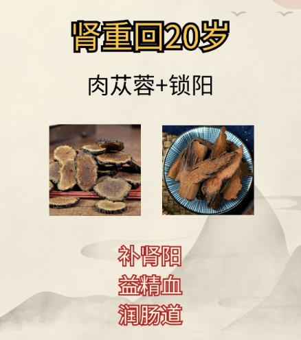 锁阳这样搭配，效果能翻倍，帮助你的肾重回20岁！1.锁阳+肉苁蓉——阳虚精