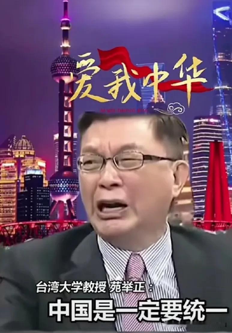 6月15日，台湾大学教授苑举正悲愤的喊话民进党当局：解放军一定要统一台湾，那是他