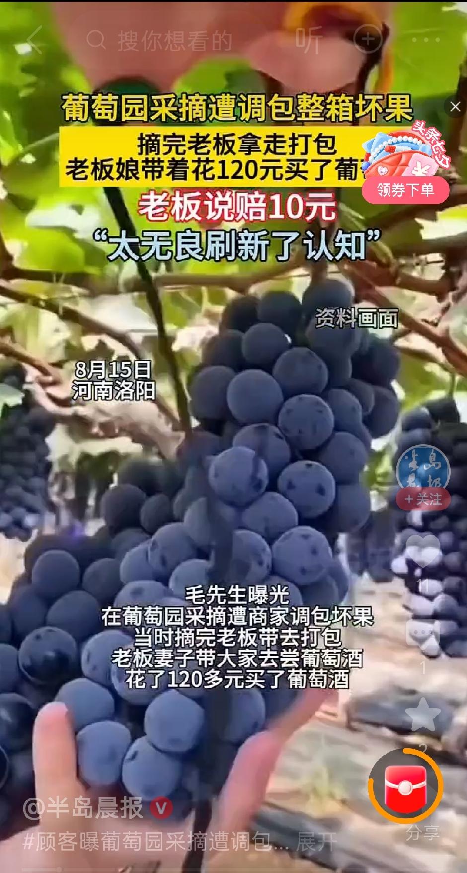 用坏果玩调包？洛阳这家葡萄采摘园太无良！用整箱坏葡萄，替换顾客刚刚采摘的好葡萄