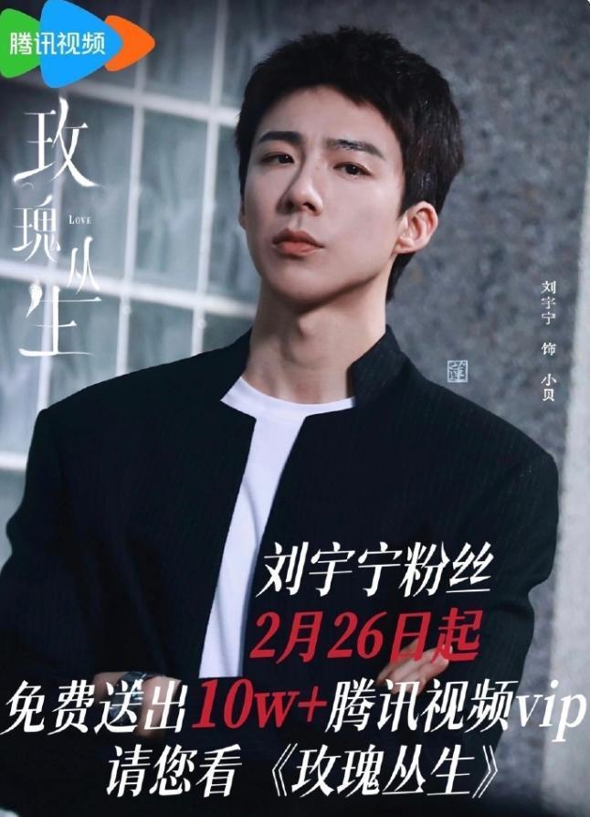 王子文刘宇宁《玫瑰丛生》开播！刘宇宁粉丝真的好努力，刘宇宁自己开直播都说了，这