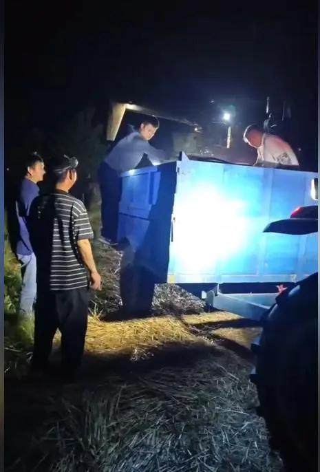 这世上最硬核的浪漫是什么？不是九百九十九朵玫瑰，是你人躺在医院里，家里二十亩