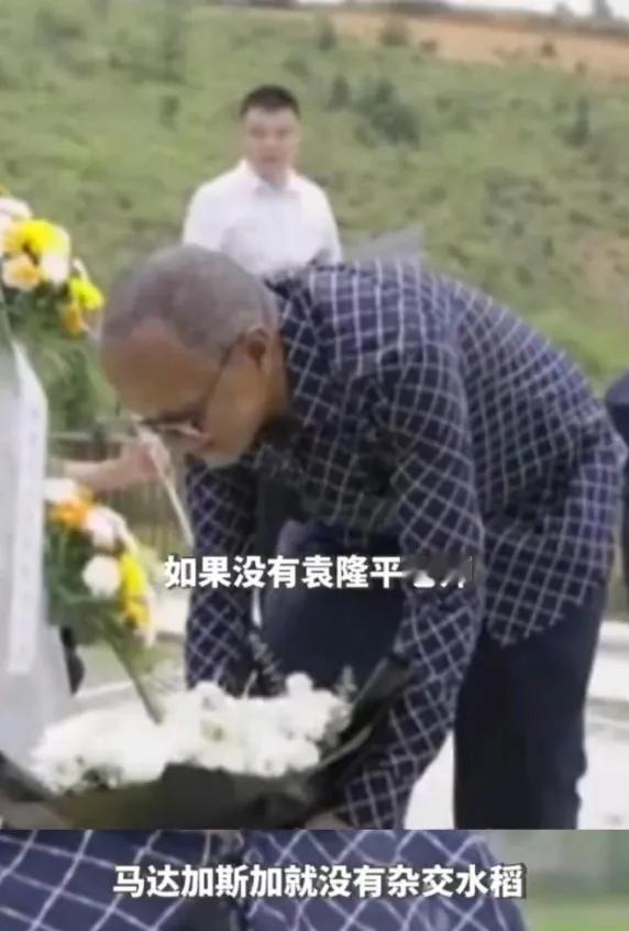 2006年，袁隆平带着团队到马达加斯加帮他们种水稻，却遭到拒绝。谁知，几年后他们