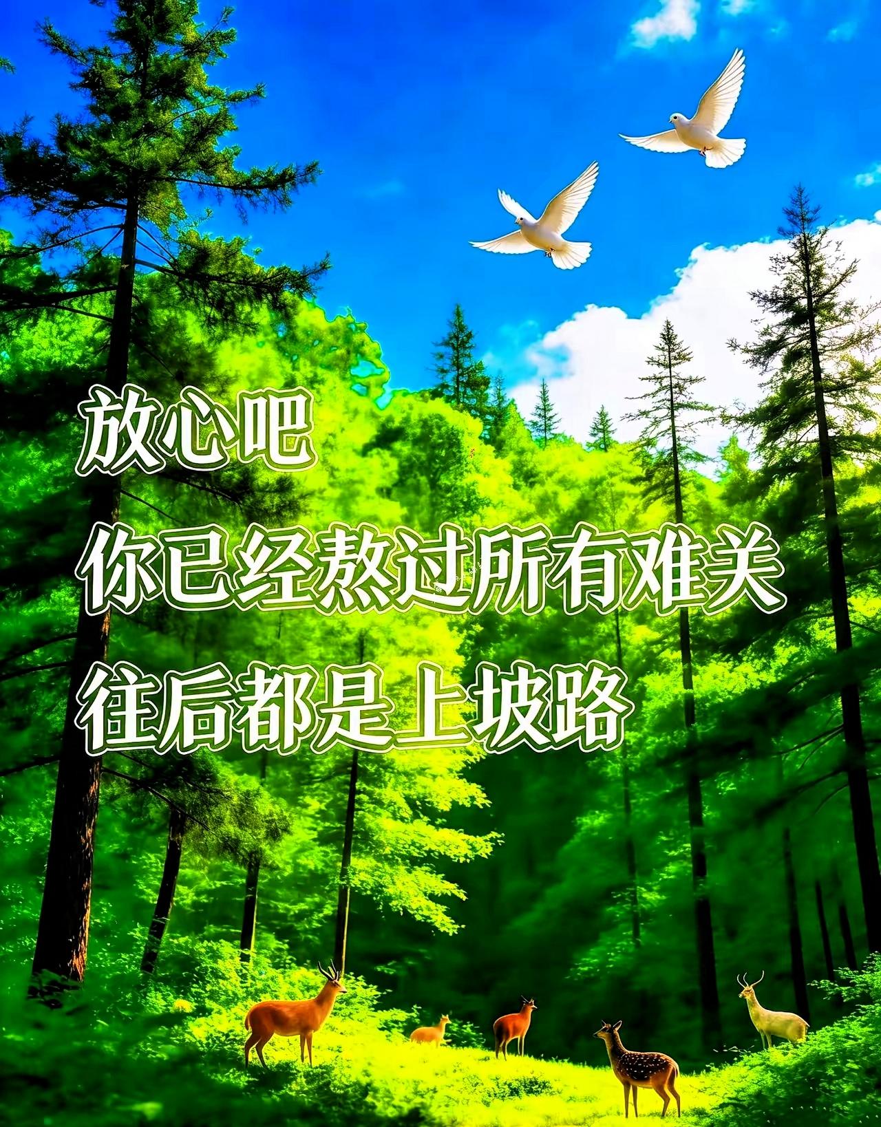 放宽心吧你已经熬过所有的难关好运与贵人都会悄悄来到你身边往后都是上坡路了