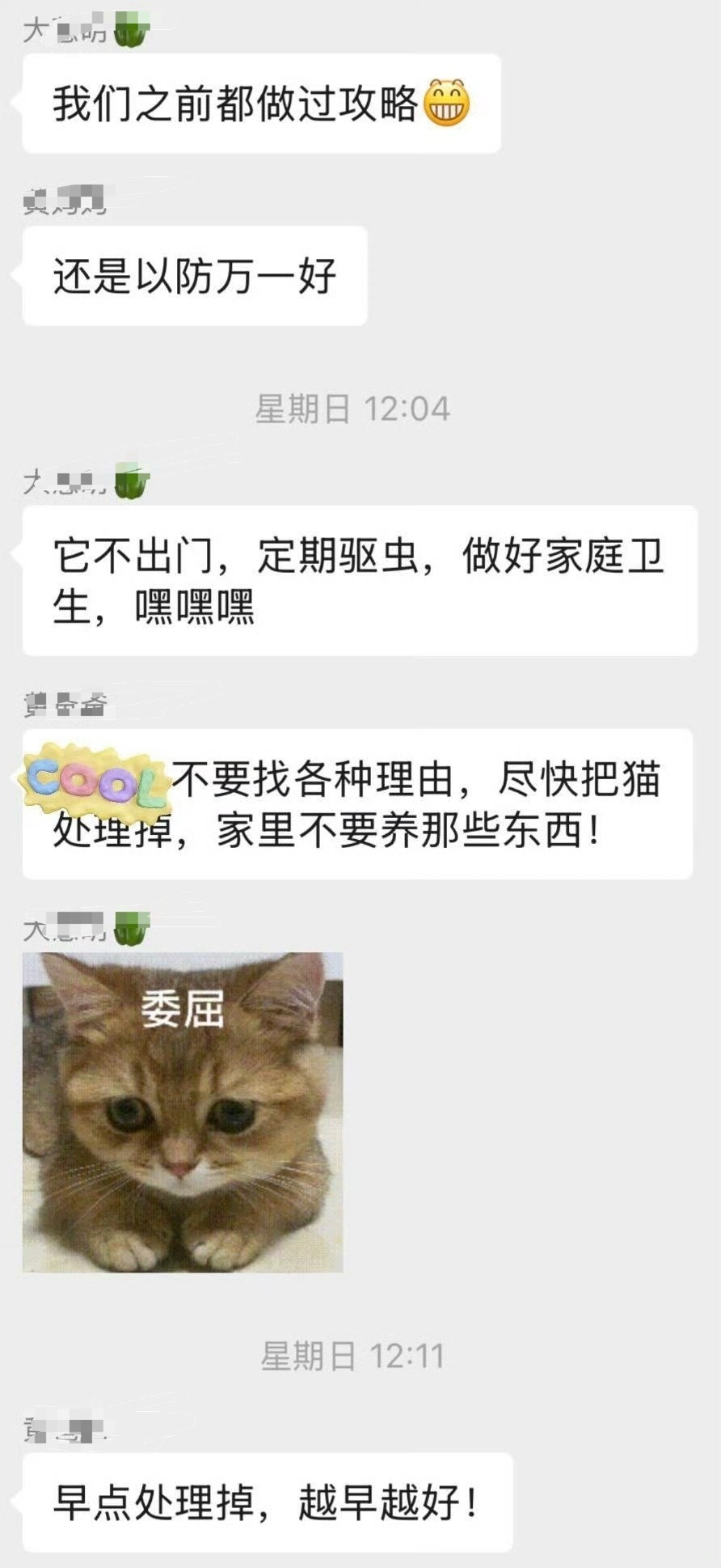 公婆下最后通牒送走猫