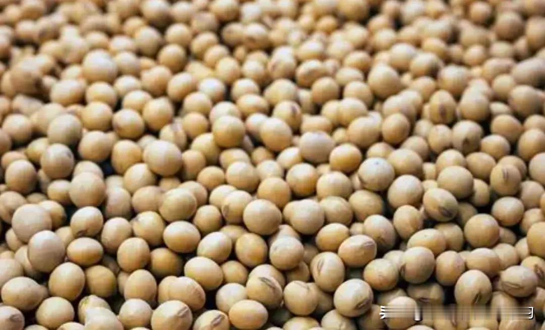 中国买家刚下单至少10船阿根廷大豆，8月还进口了1227万多吨，连续四个月破纪录