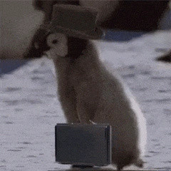 奉劝各位大学生大学还是学点东西