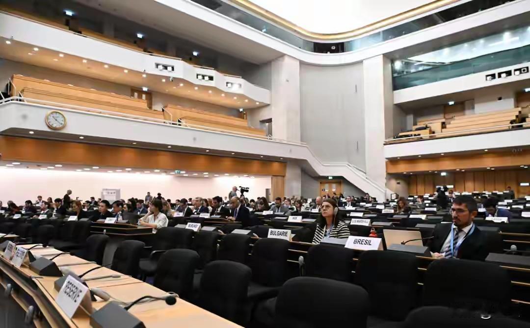 71国联手“掀桌子”：中国在日内瓦干了一件大事，西方那套“人权剧本”彻底演不下去