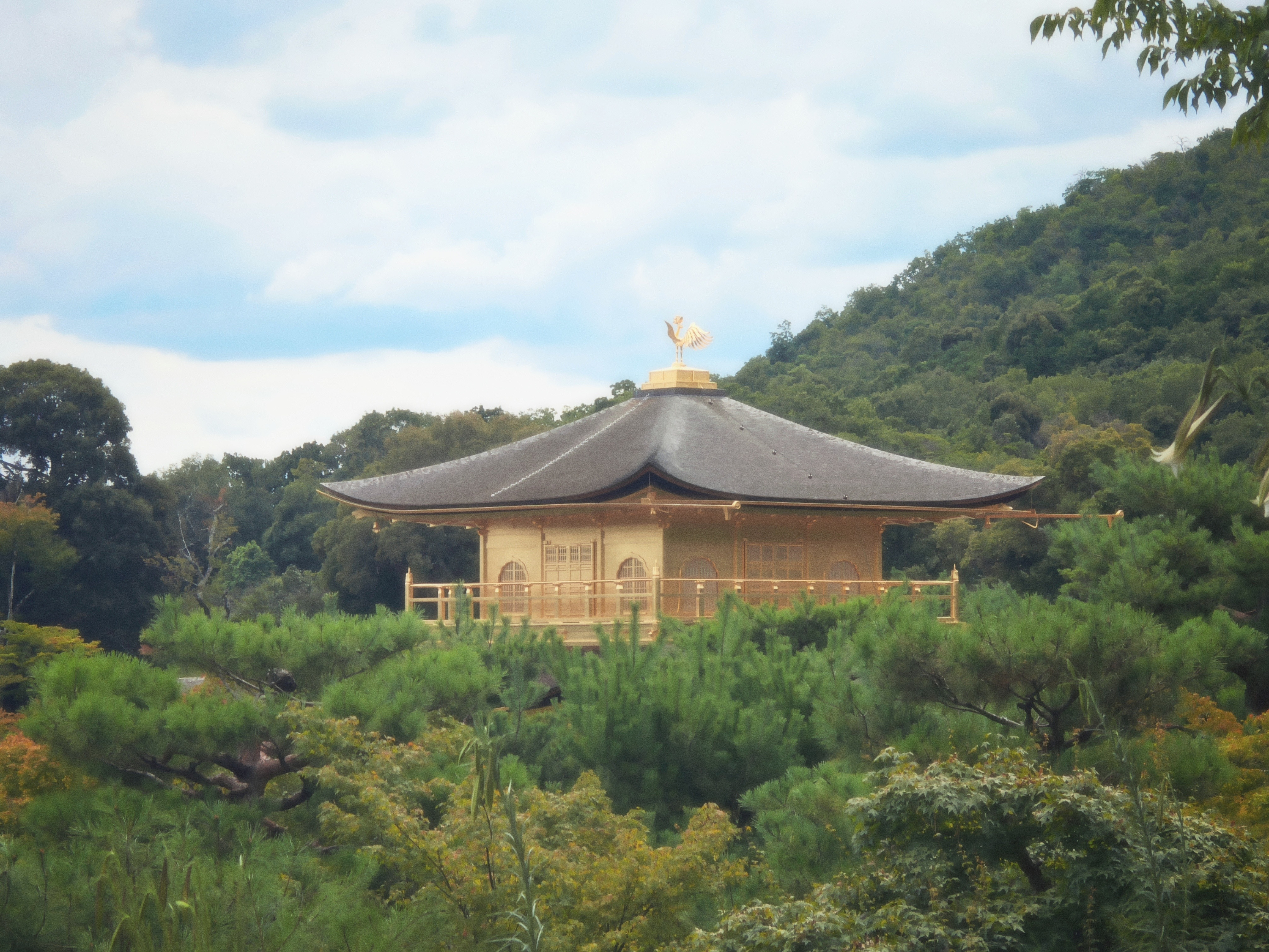 这次去京都最喜欢的地方果然还是金阁寺，还买了一个小金阁钥匙扣带回来，虽然大半是因