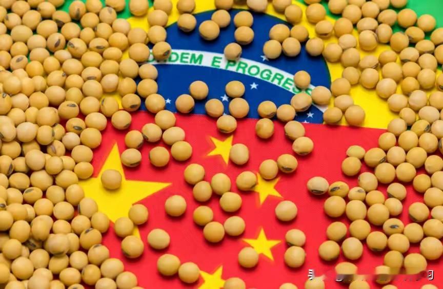 商场如战场,翻脸比翻书还快!巴西以为捏住了我们的命脉,结果咱们反手就教他们什么叫