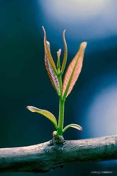胃癌后的生活…化疗后的后遗症胃癌手术，又经过八个化疗结束至今，有一年又大半了，