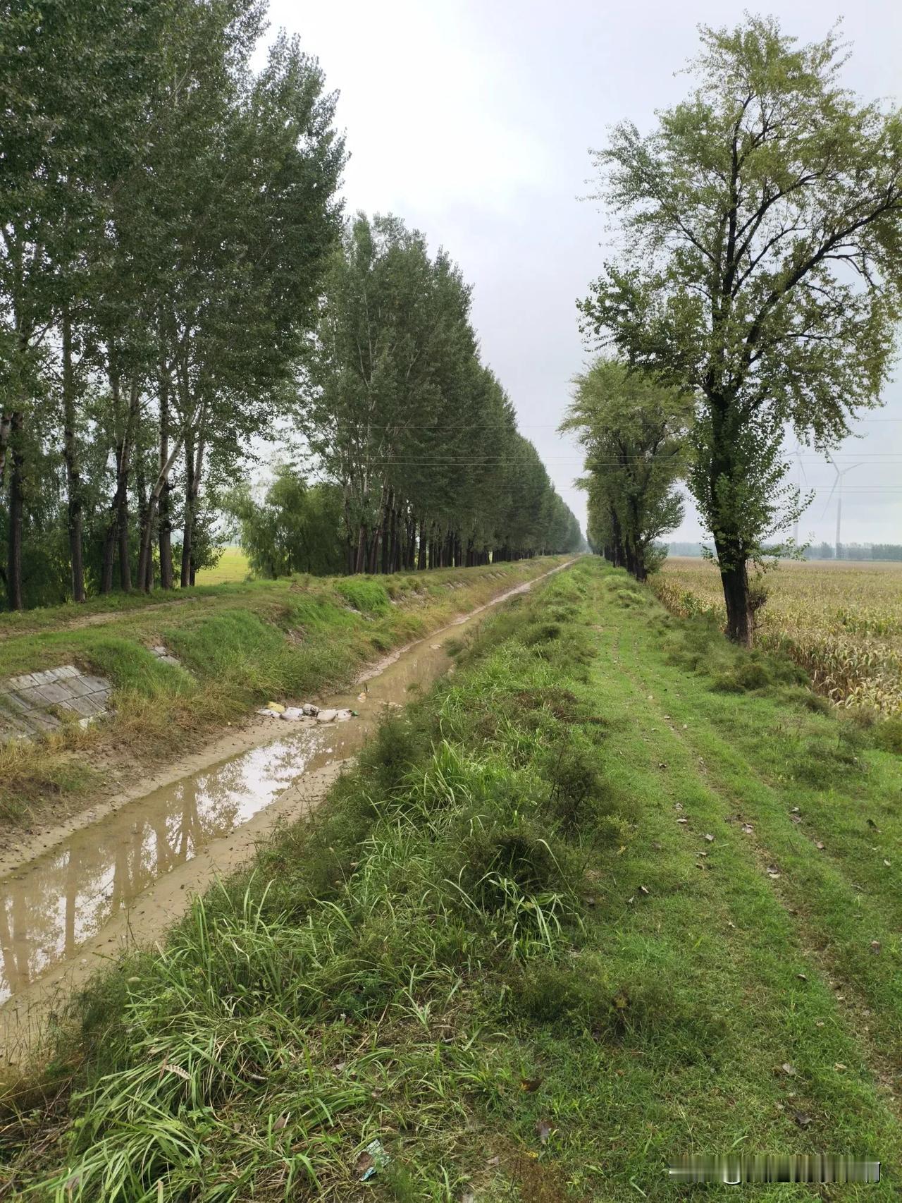 命运一事，实属难以捉摸！一位姐姐，姓李，自小就长的漂亮，性格温婉，成绩很好。