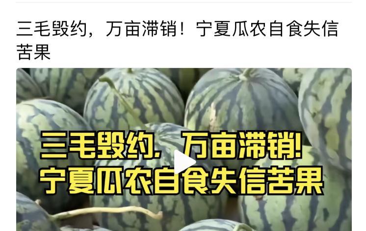 宁夏的西瓜如果今年卖不出去，会是谁的责任？宁夏西瓜好看也好吃，过去一直畅销，去