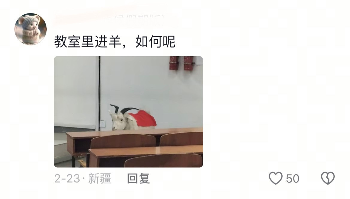 当你的大学在荒凉的郊区赶集，放羊，好小众的活动…​​​