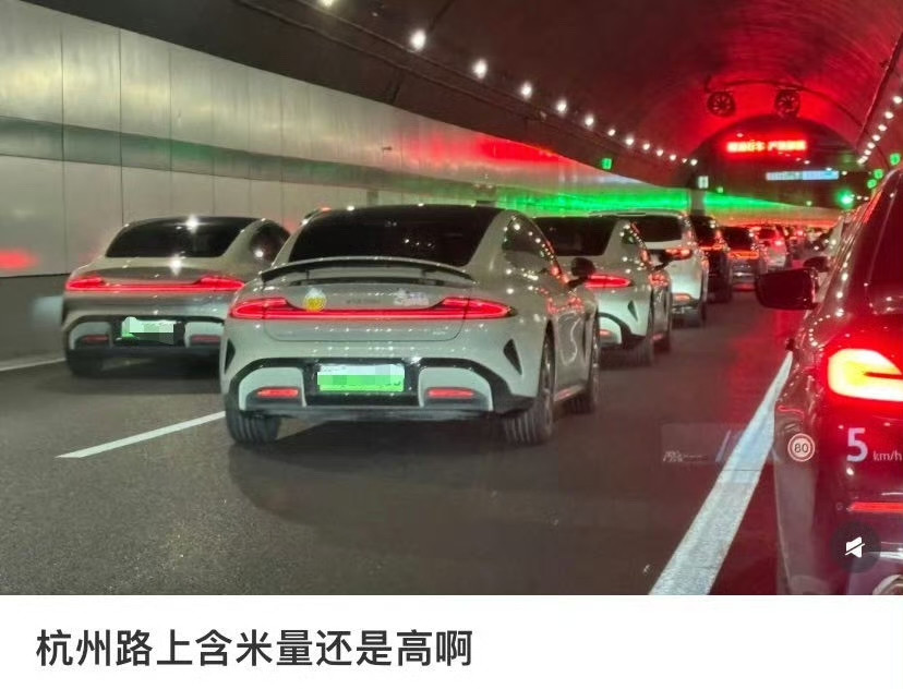 杭州路上这么多小米吗？真的感觉未来已来[捂脸哭][捂脸哭]整个大众审美水平，翻了