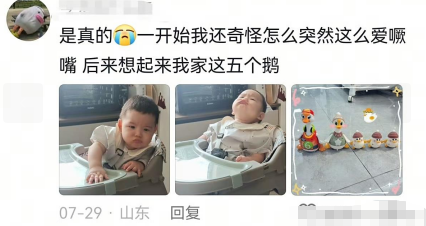 后来想起来我家这五个鹅