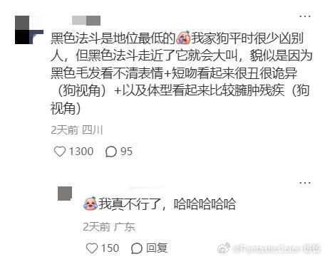 原来小狗的世界里也有颜值概念