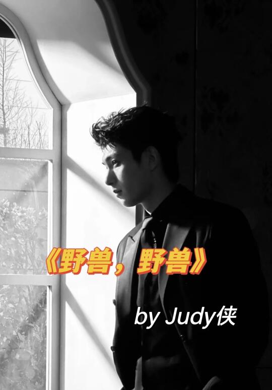 拉扯感破镜重圆文，男主追妻火葬场
