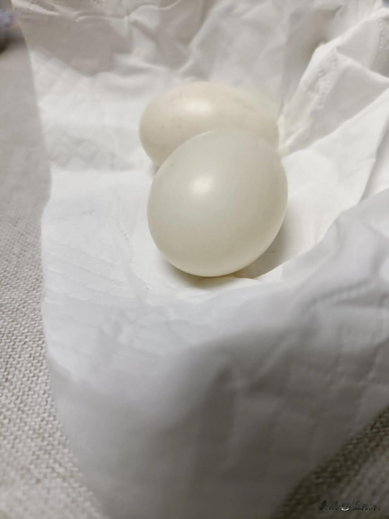 老同志昨晚到家，我已经泡好澡上了床，天冷，还是捂被窝里舒服。[红脸笑]他走到我床边