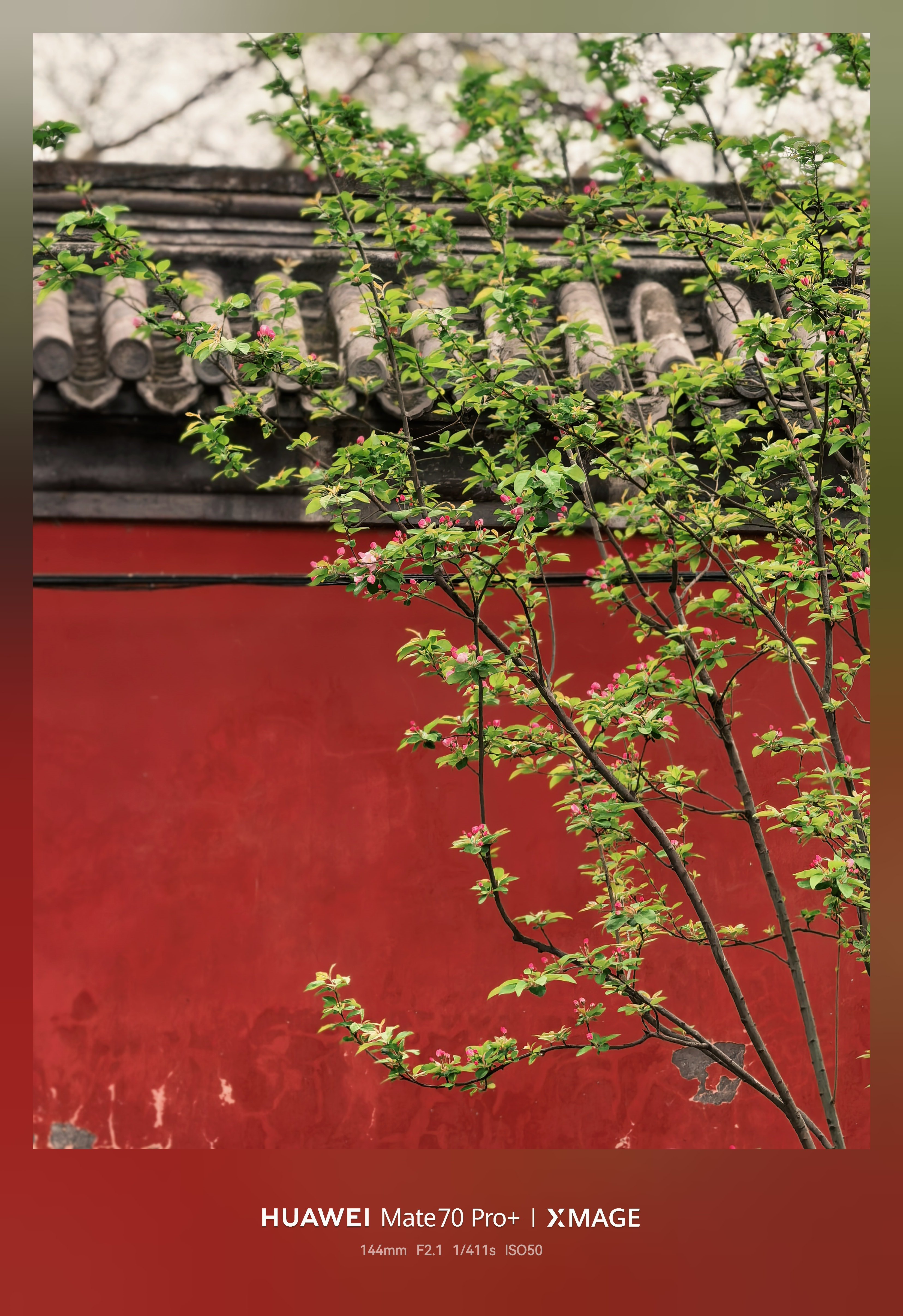 早～假期前最后一个工作日，假期怎么度过？