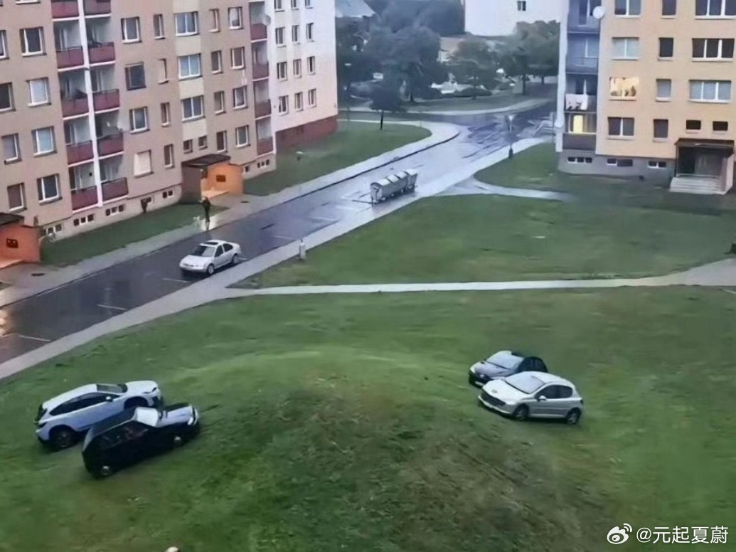 每个小区都有那么几个大聪明显眼包​​​