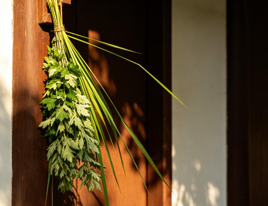 每年端午，很多人都纠结艾草到底哪天挂、几点挂？老祖宗传下的“挂早不挂晚”六字