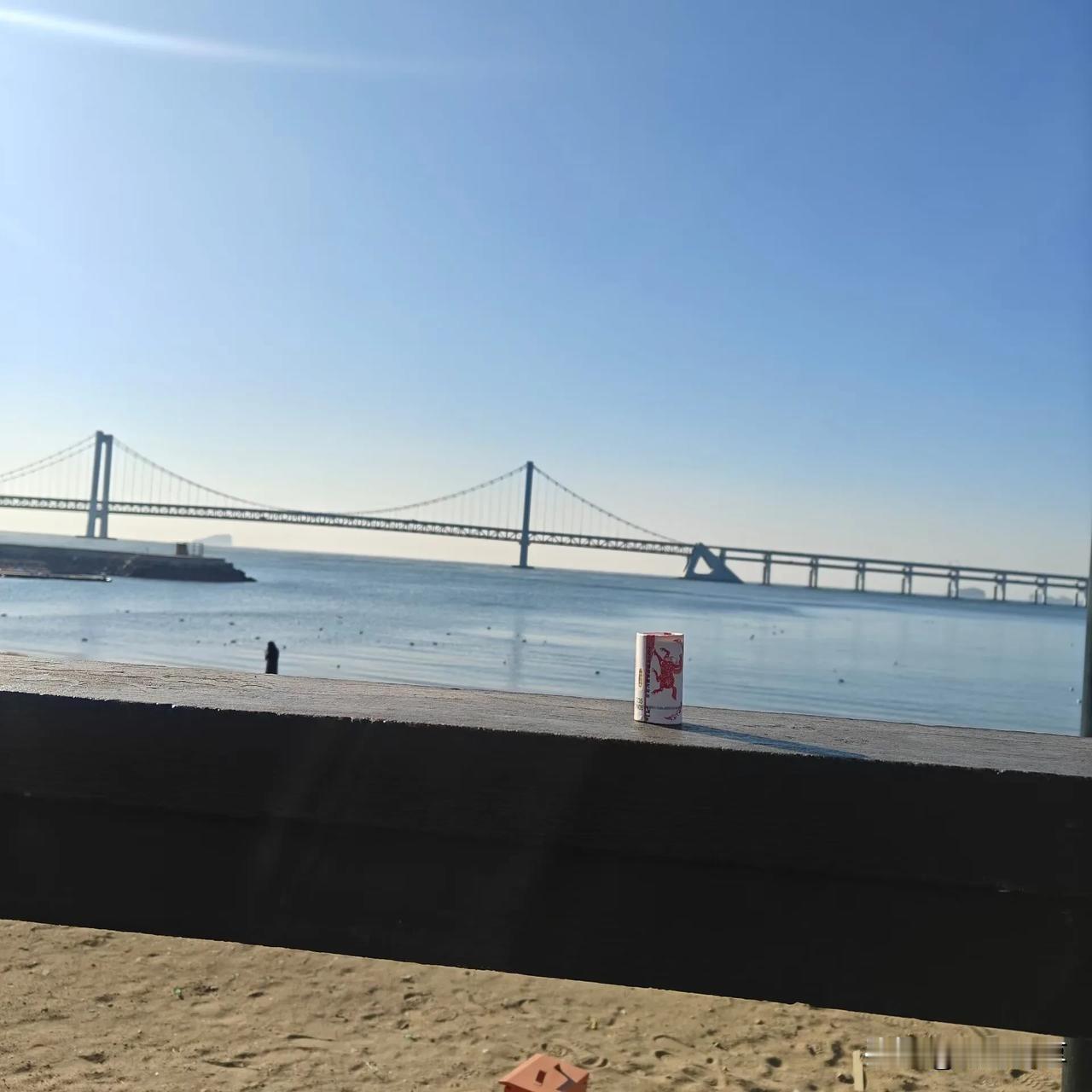 大连还有啥不能承包？大连最近挺火啊，看看五月份旅游受不受影响吧。星海广场拍个照片