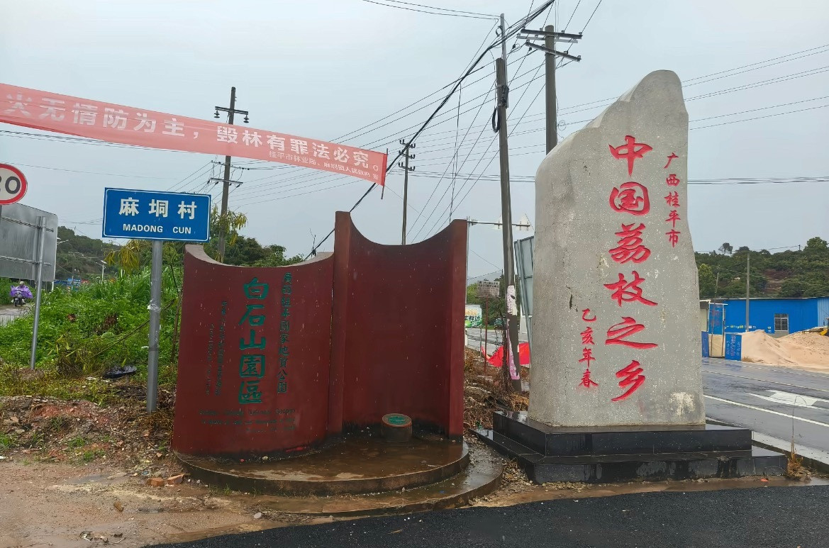 桂平麻垌荔枝全国荔枝之乡广西麻垌广西桂平市地处北回归线横贯地带，属于南亚热带季风