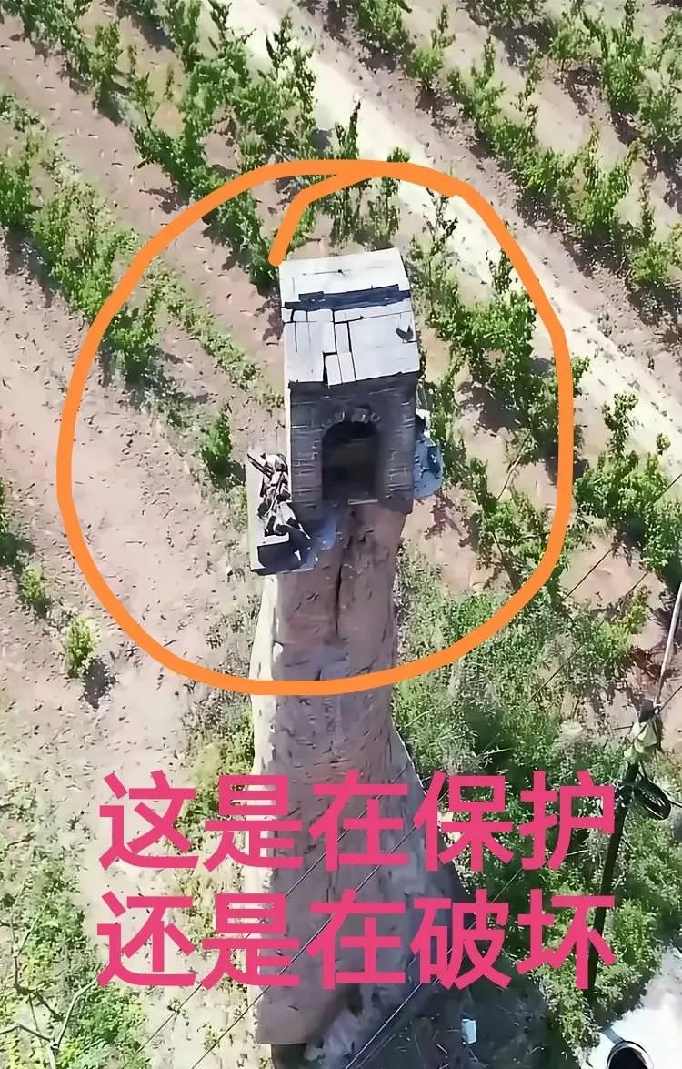 这是在保护，还是在破坏？