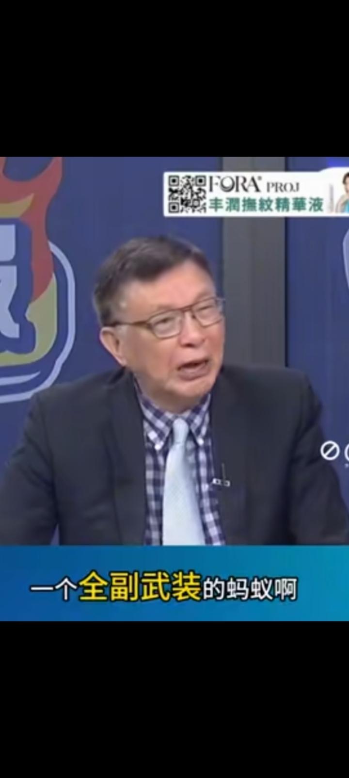 一个全副武装的蚂蚁，终归还是个蚂蚁。苑举正教授不愧哲学家，他了解两岸的问题所在