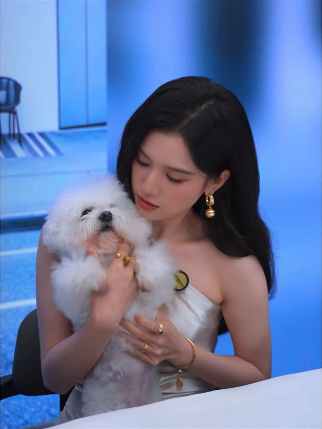 张婧仪和小狗互相拜拜，和小狗互相拜拜的小仪仪好可爱​​​