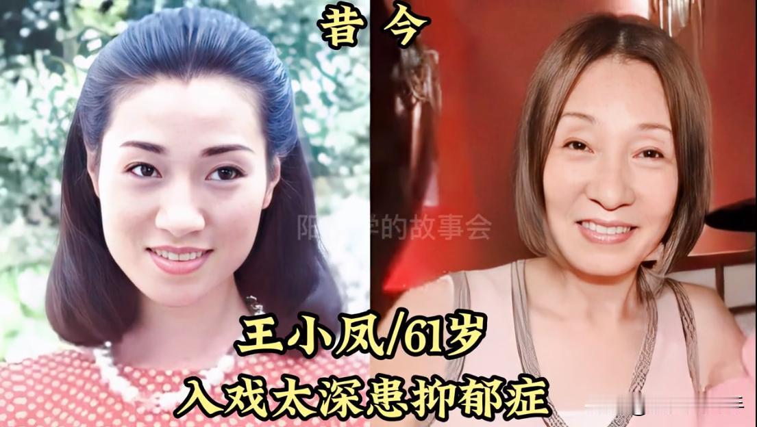 瞅瞅这些明星，退圈后反而过得更好了。当明星，赚得多，又能享受聚光灯的闪耀和