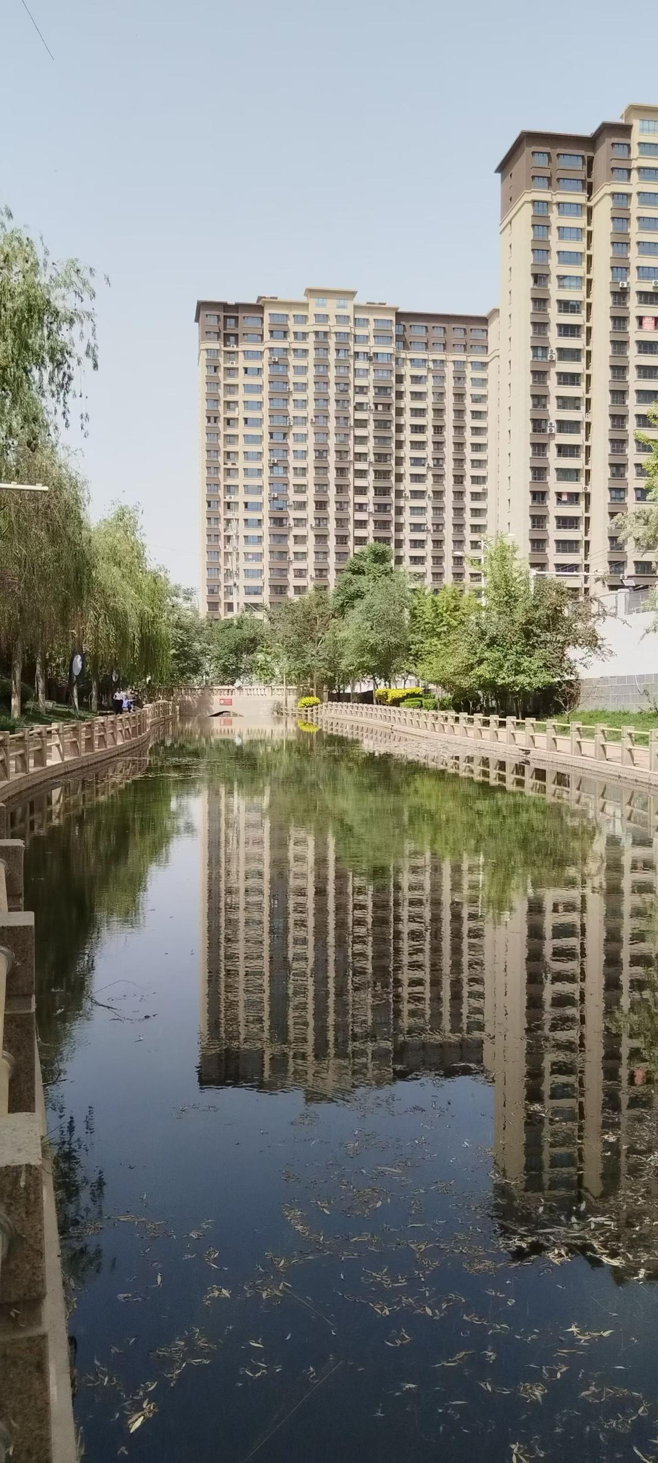 分享你随拍的风景小河映着楼影，柳丝垂在风里。日常里的慢镜头，也藏着城市独有的温柔